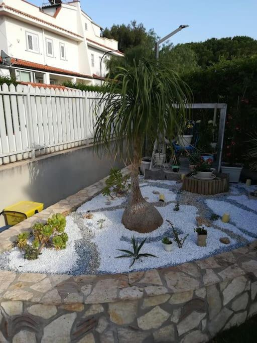 Villa Eco-Chic Carini Buitenkant foto